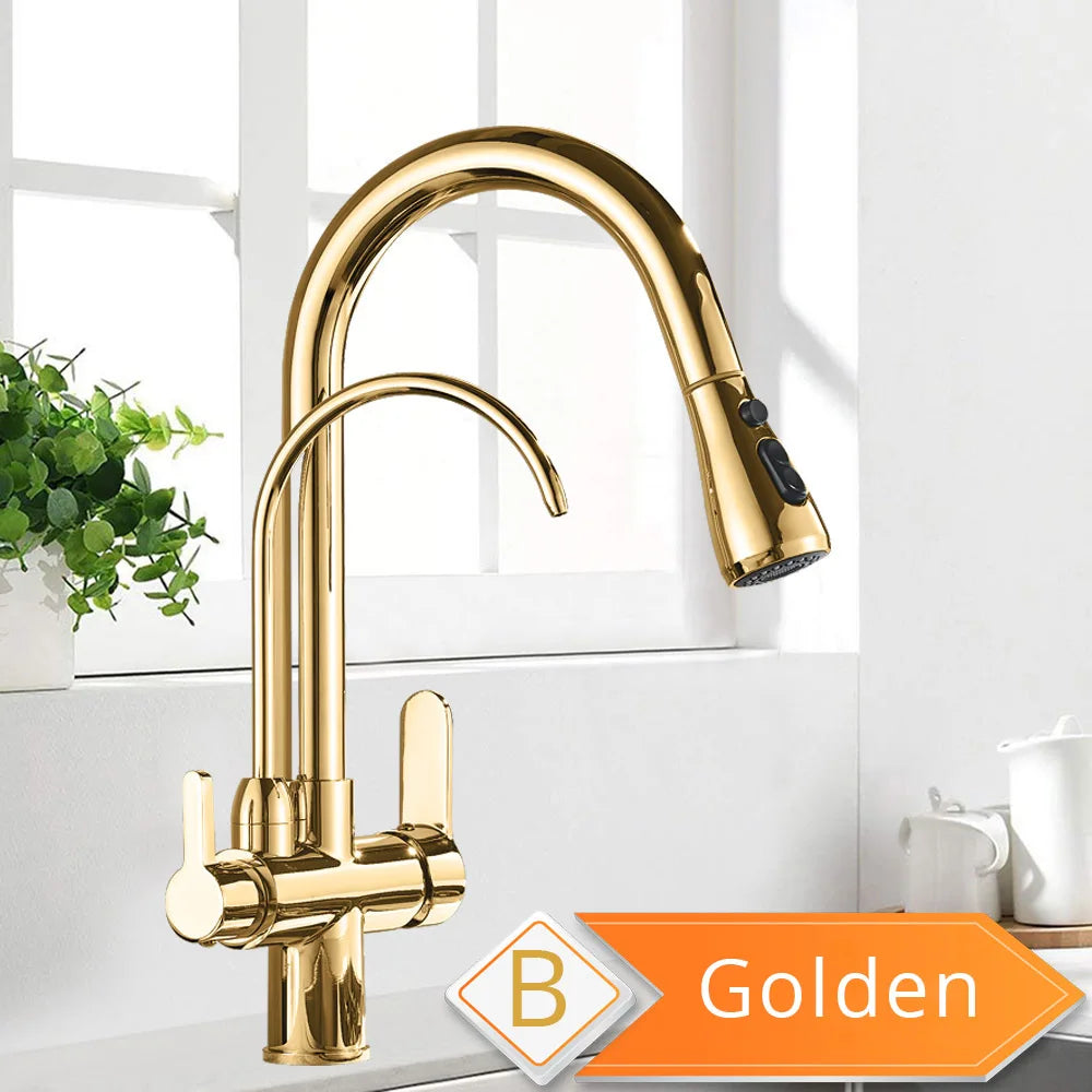 Rozin Three Way Water Filter Kitchen Faucet With Sprayer