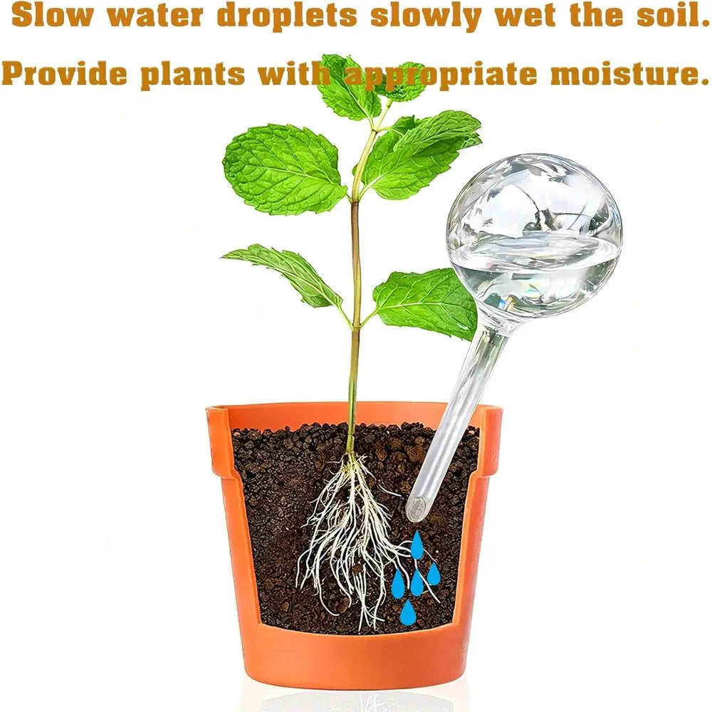 Clear Plastic Self-Watering Bulbs for Indoor Outdoor Plants