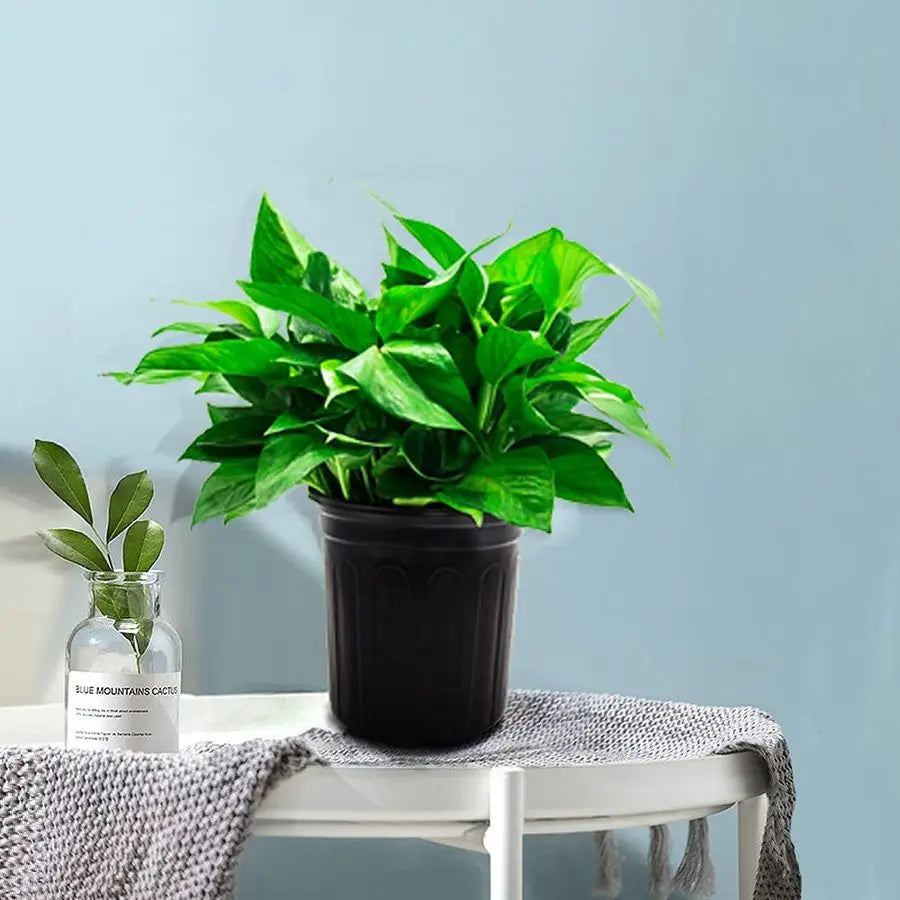 100Pack 1 Gallon Flexible Flower Plant Nursery Pots, Plastic Plant Pots with Drainage Holes,Garden Flower Pots for Succulents, S