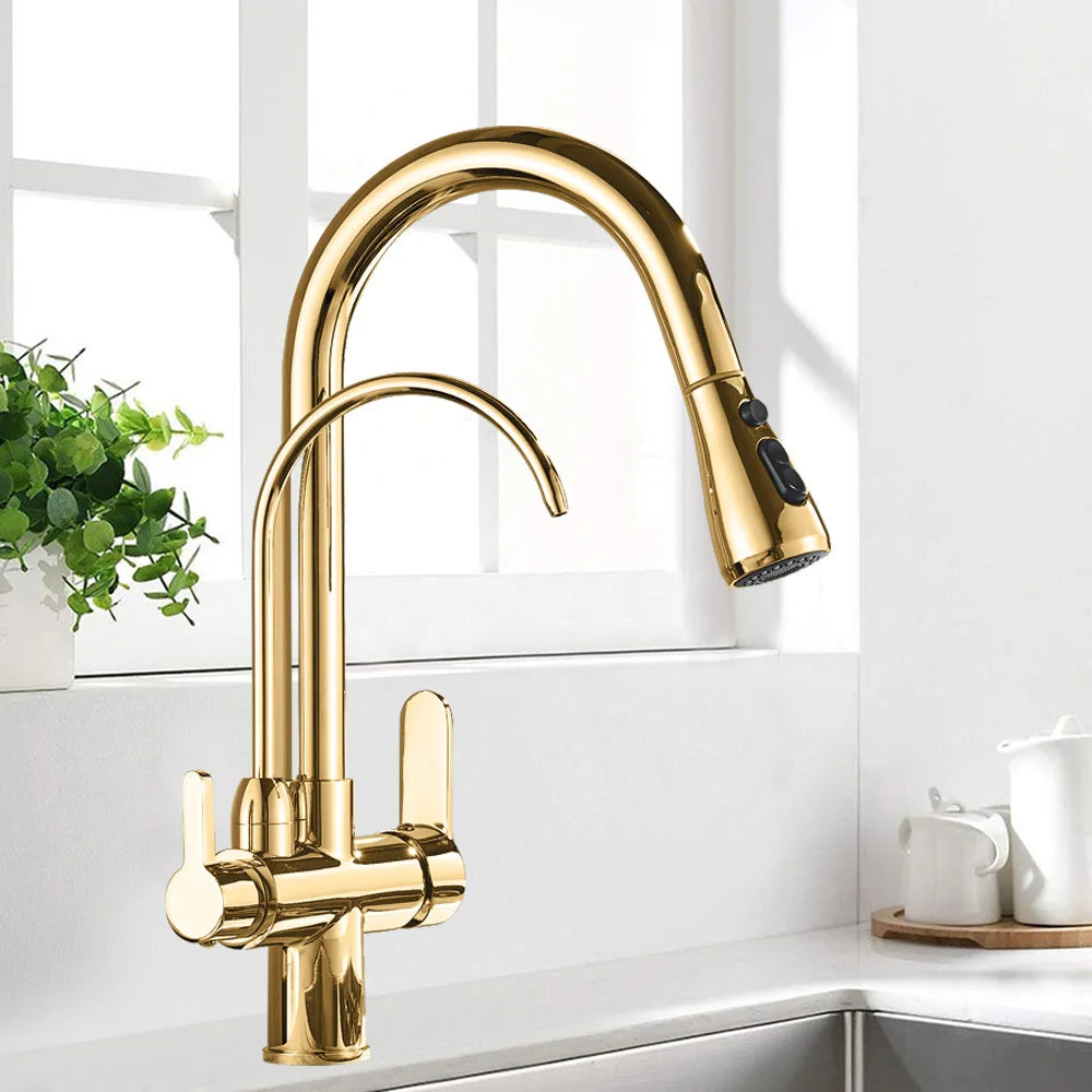 Rozin Three Way Water Filter Kitchen Faucet With Sprayer