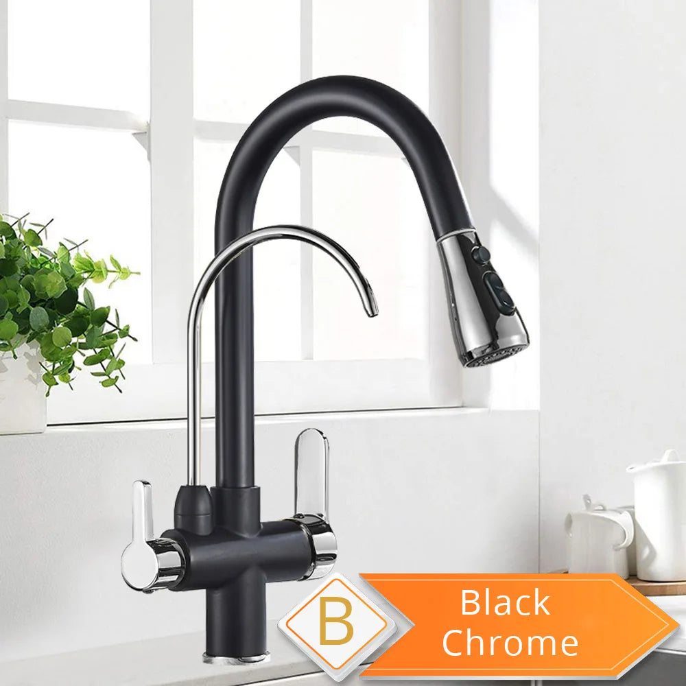 Rozin Three Way Water Filter Kitchen Faucet With Sprayer