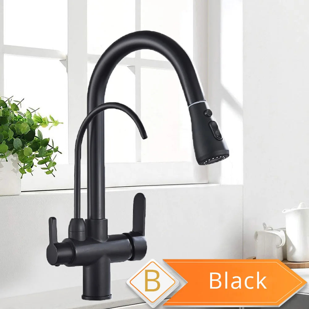 Rozin Three Way Water Filter Kitchen Faucet With Sprayer