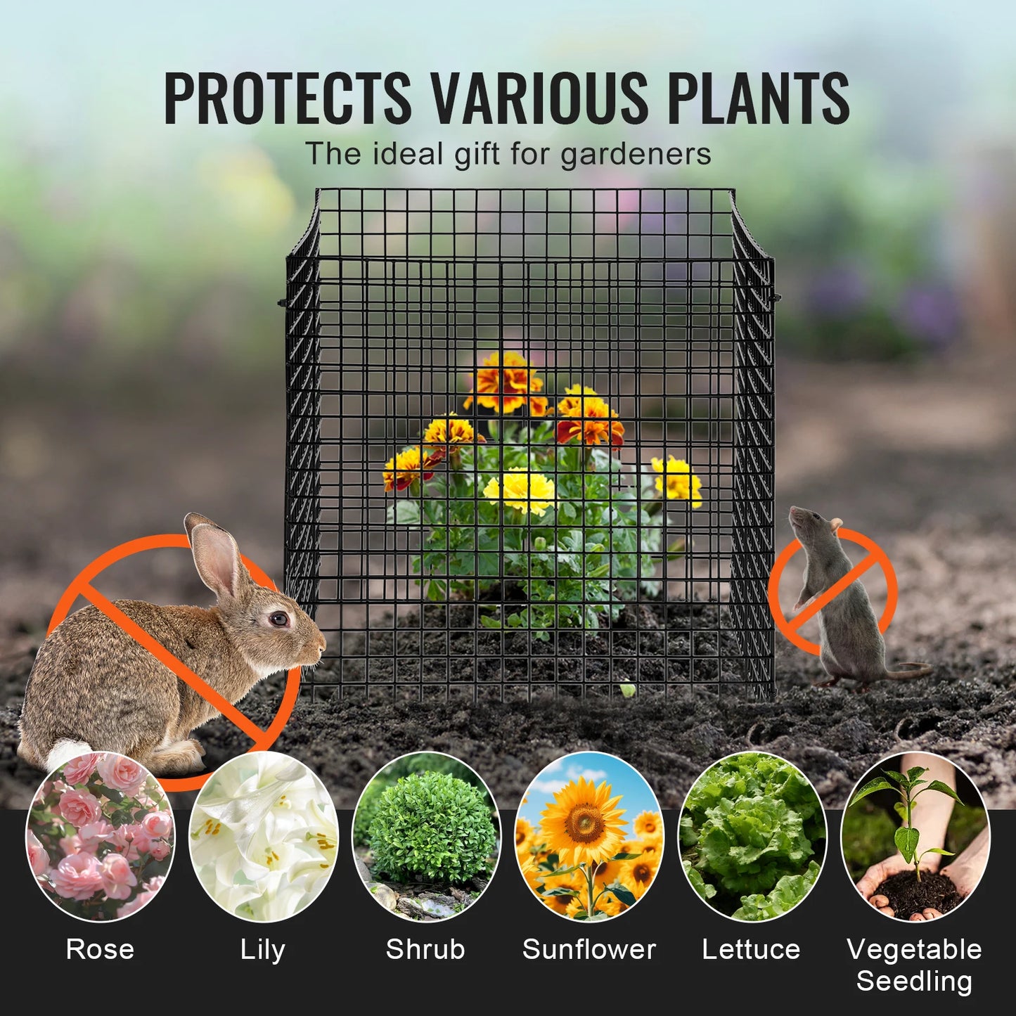 SucceBuy 10 Pack Plant Protectors Animal Exclusion Garden Cages