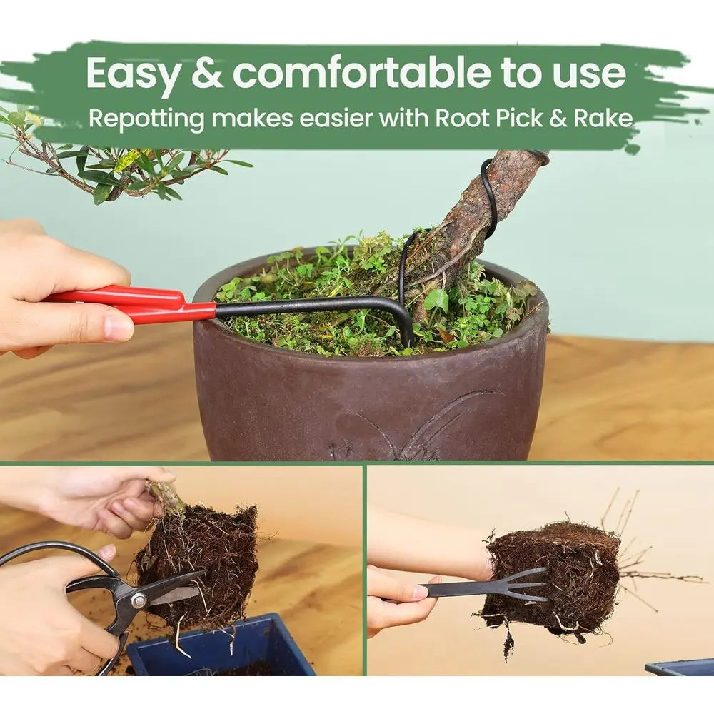 Bonsai Tool Kit With Wooden Box And Concave Cutter Heavy Duty Scissors