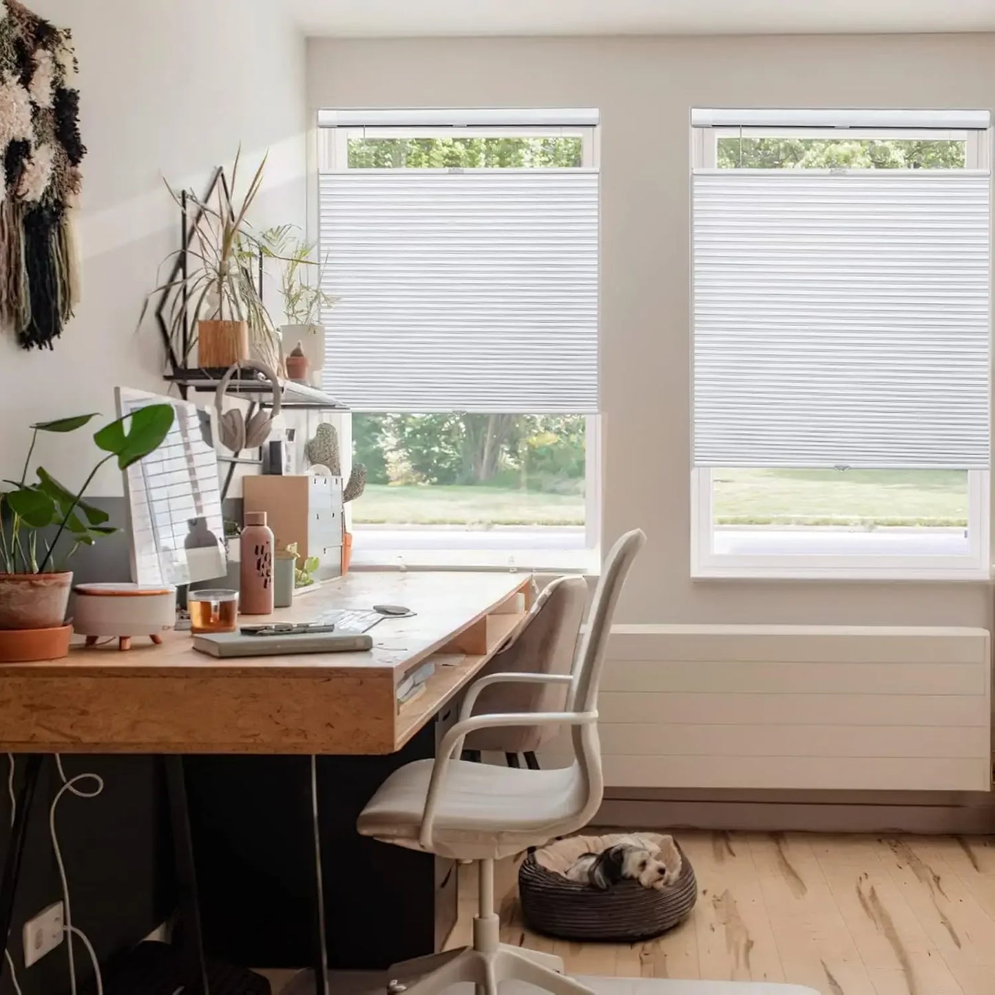 XMSJ Cordless Cellular Shades Top Down Bottom Up Blackout