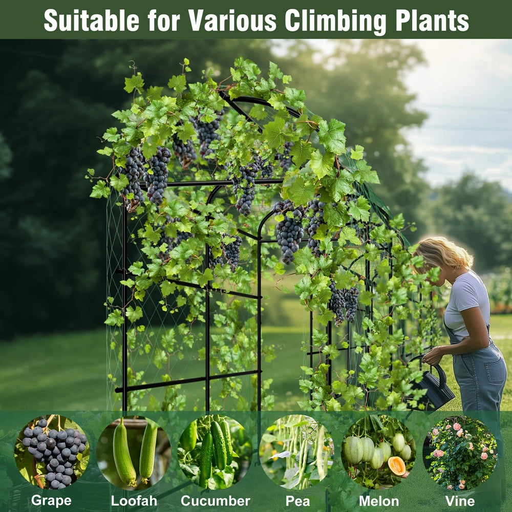 Wisfor U Shaped Metal Garden Plant Trellis For Climbers