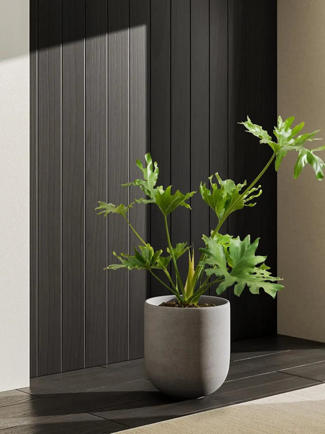 Porcelain Plant Pot With Drainage Hole And Rubber Plug