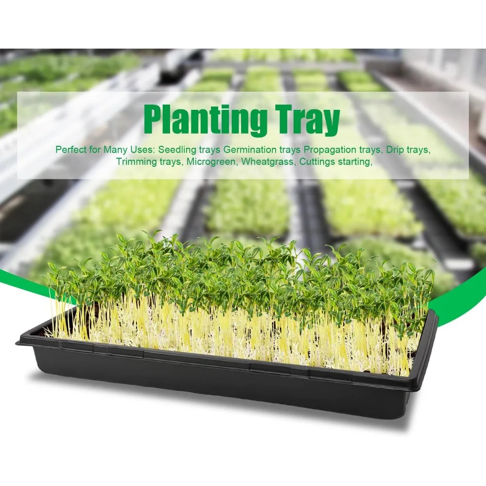 Sturdy 1020 Microgreens Growing Trays, No Drain Holes, 5-Pack for Indoor Gardening & Seed Starting