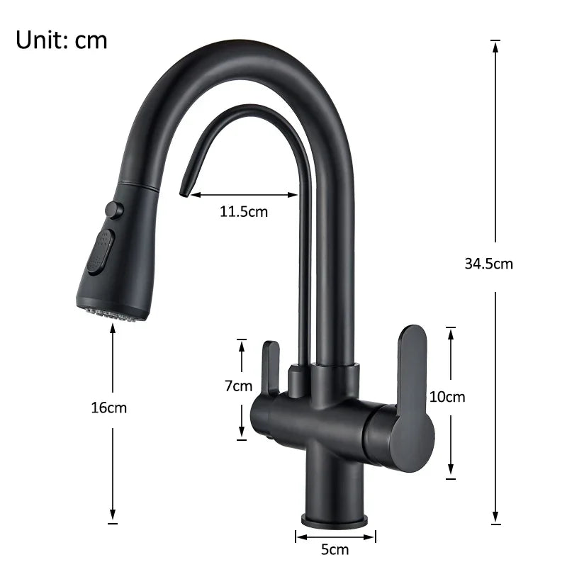 Rozin Three Way Water Filter Kitchen Faucet With Sprayer