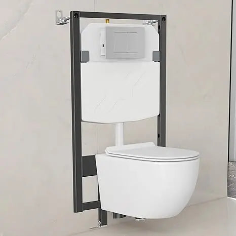 Eridanus Dual Flush Wall Mounted Toilet System With Integrated Tank And Carrier