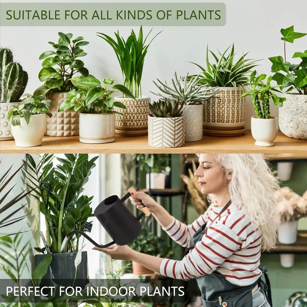 Stainless Steel Watering Can With Long Curved Spout For Plants