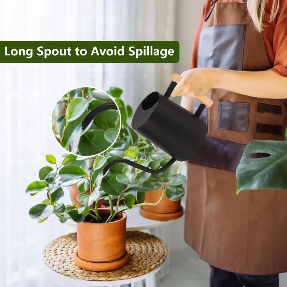 Stainless Steel Watering Can With Long Curved Spout For Plants