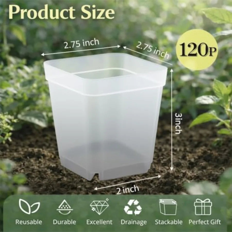 120 Packs Square Plastic Nursery Pots With Drainage For Seedlings