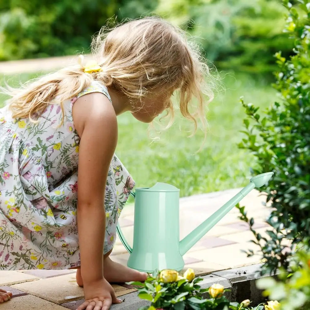 Indoor Plant Watering Can With Long Spout And Removable Nozzle