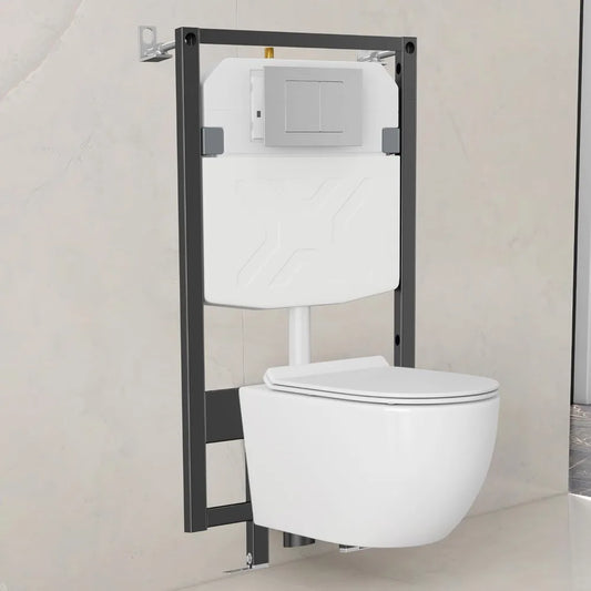 Eridanus Dual Flush Wall Mounted Toilet System With Integrated Tank And Carrier