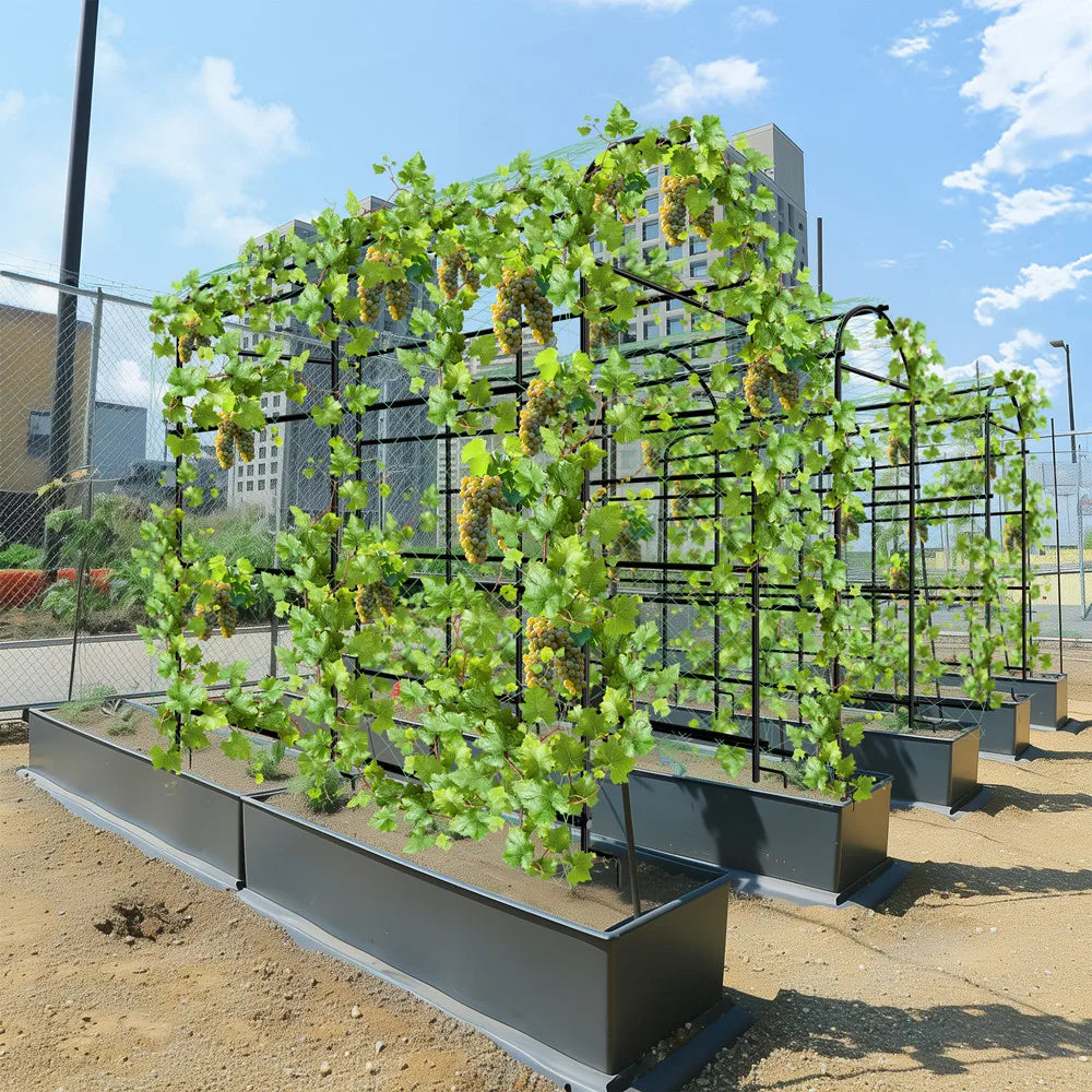 Wisfor U Shaped Metal Garden Plant Trellis For Climbers