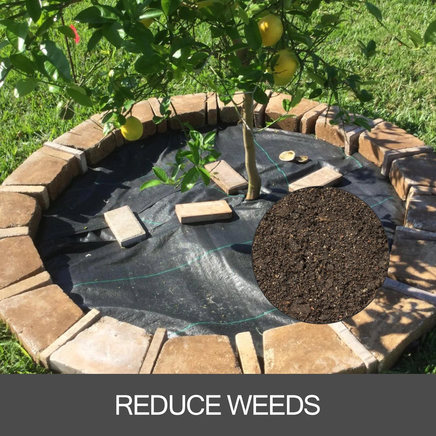 SucceBuy Heavy Duty Landscape Fabric Weed Barrier Ground Cover Greenhouse