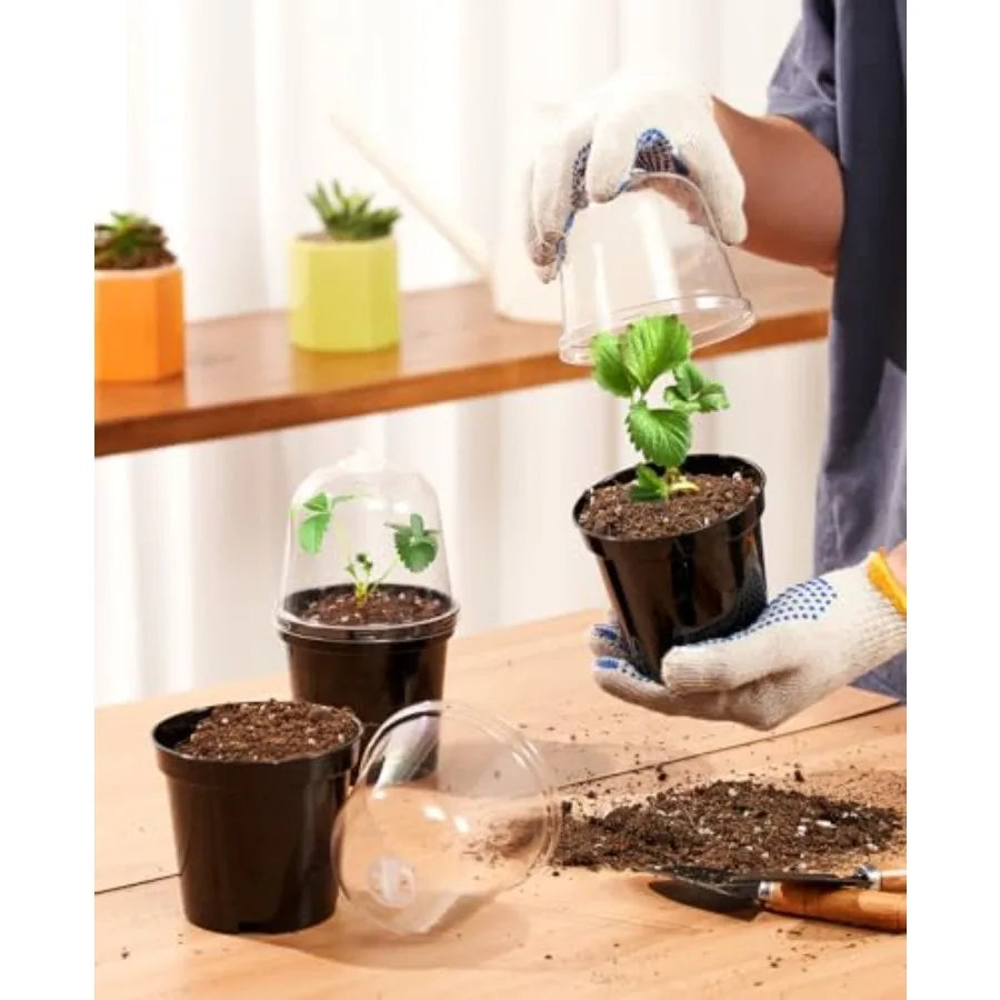 Nursery Pots for Plants Seedling Kit With Humidity Domes and Drainage Holes